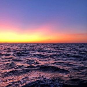 Meet your Posher, Angelica